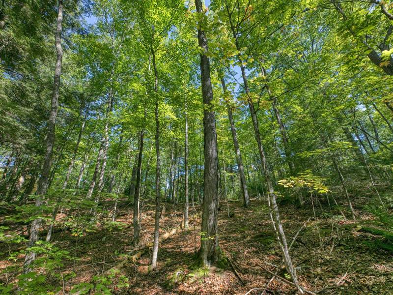 11559 Halme Ln, , Hiles,  WI 54521 United States
