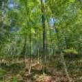 11559 Halme Ln, , Hiles,  WI 54521 United States