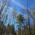 135 Woodland Heights Manor, , Rhinelander,  WI 54501 United States