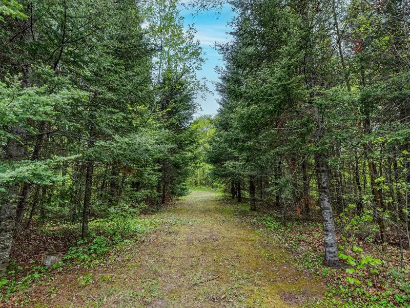 1350 Spectacle Lake Ln, , Phelps,  WI 54554 United States
