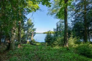 2136 Simpson Rd, , Phelps,  WI 54558 United States