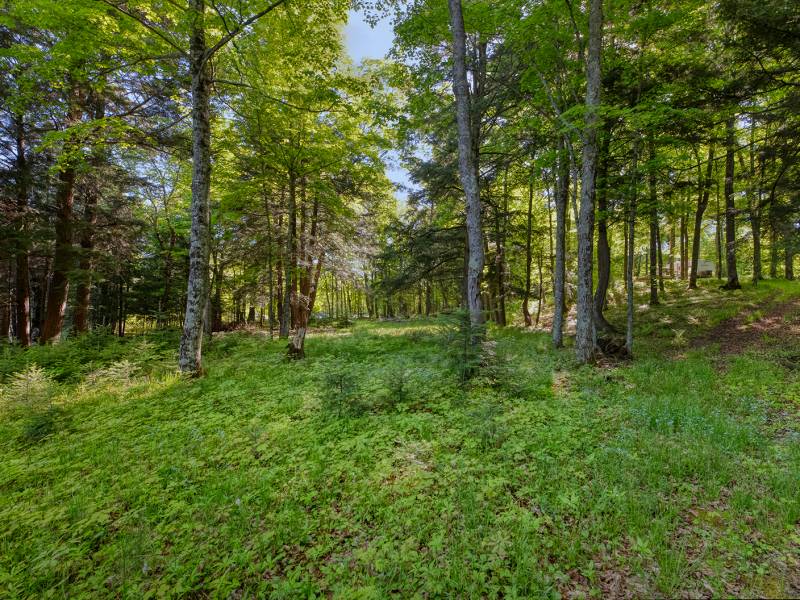 2136 Simpson Rd, , Phelps,  WI 54558 United States