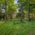 2136 Simpson Rd, , Phelps,  WI 54558 United States