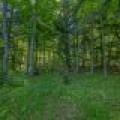 2136 Simpson Rd, , Phelps,  WI 54558 United States