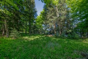 2136 Simpson Rd, , Phelps,  WI 54558 United States