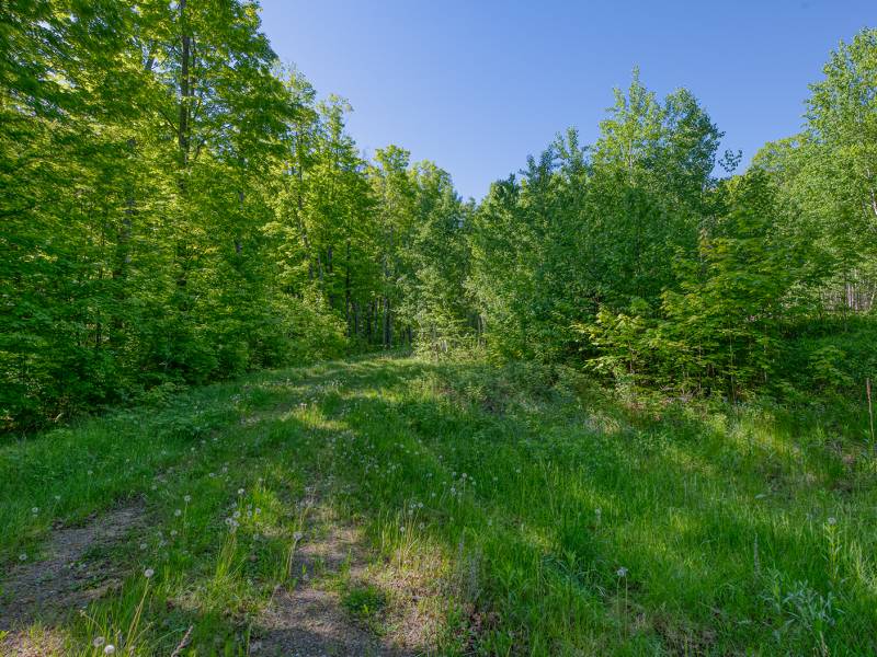 2136 Simpson Rd, , Phelps,  WI 54558 United States
