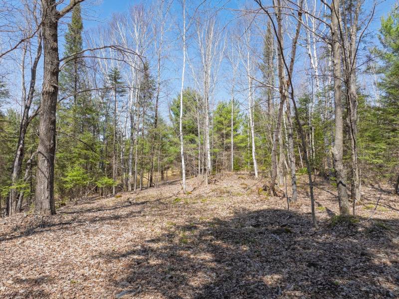 3710 Deerskin Rd, , Phelps,  WI 54554 United States
