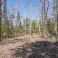 3710 Deerskin Rd, , Phelps,  WI 54554 United States
