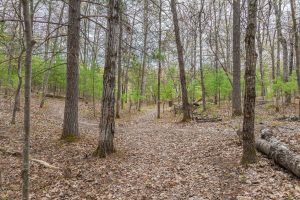 3725 Oakcrest Ln, , Eagle River,  WI 54521 United States