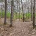 3725 Oakcrest Ln, , Eagle River,  WI 54521 United States
