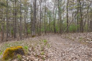 3725 Oakcrest Ln, , Eagle River,  WI 54521 United States