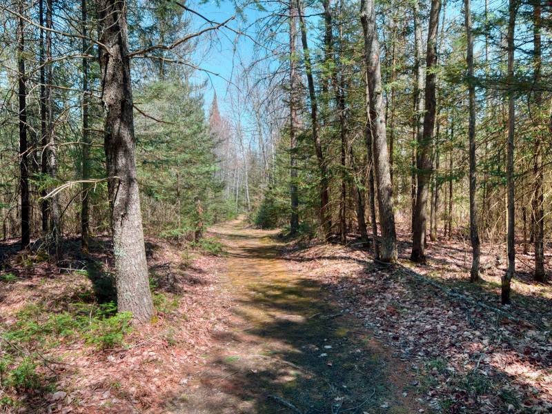 4784 CTH K, , Conover,  WI 54519 United States