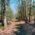 4784 CTH K, , Conover,  WI 54519 United States