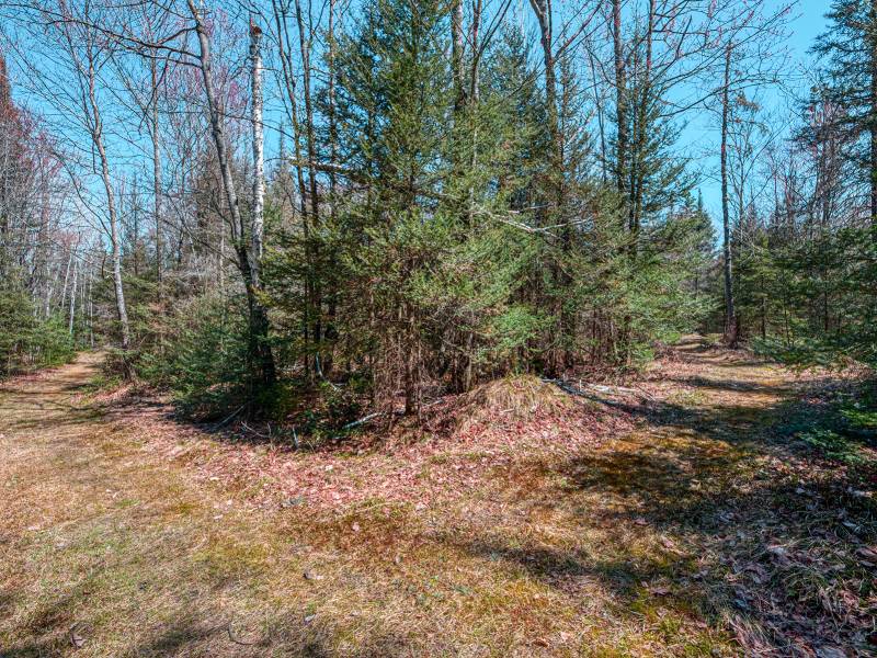 4784 CTH K, , Conover,  WI 54519 United States