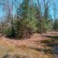 4784 CTH K, , Conover,  WI 54519 United States