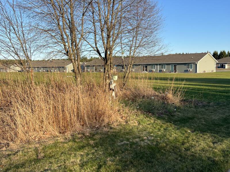 605 Alexander St, , Merrill,  WI 54452 United States