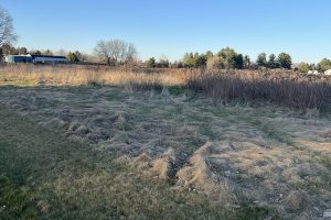 605 Alexander St, , Merrill,  WI 54452 United States