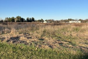 605 Alexander St, , Merrill,  WI 54452 United States
