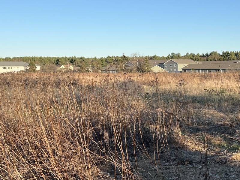 605 Alexander St, , Merrill,  WI 54452 United States