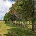 7a-off Hwy 45, , Eagle River,  WI 54521 United States