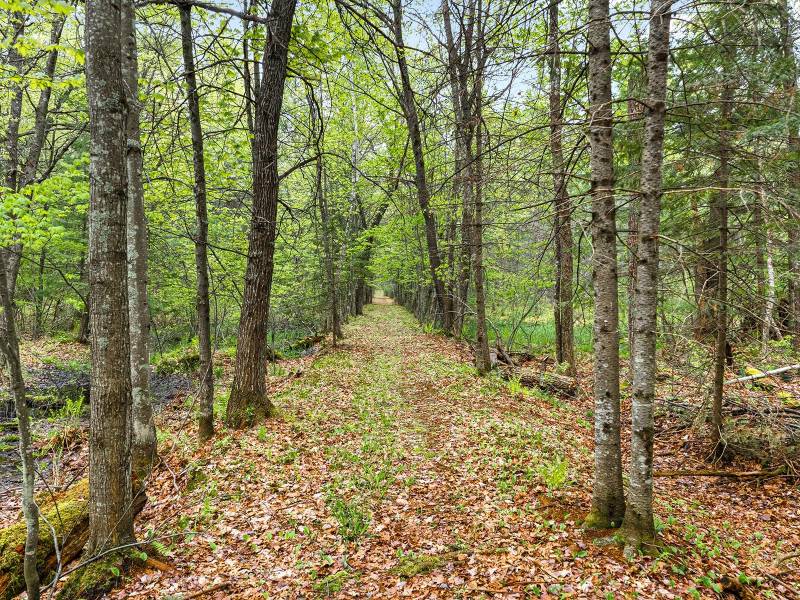 8041 Two Lakes Rd, , Lake Tomahawk,  WI 54539 United States