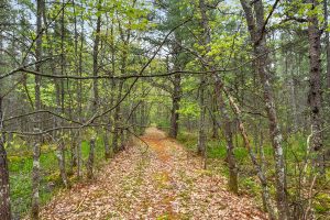 8041 Two Lakes Rd, , Lake Tomahawk,  WI 54539 United States