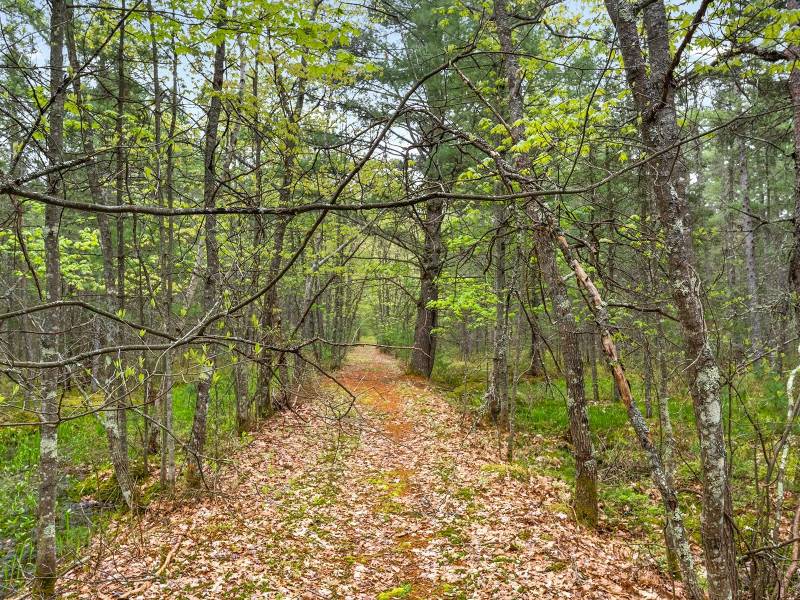 8041 Two Lakes Rd, , Lake Tomahawk,  WI 54539 United States