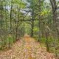 8041 Two Lakes Rd, , Lake Tomahawk,  WI 54539 United States
