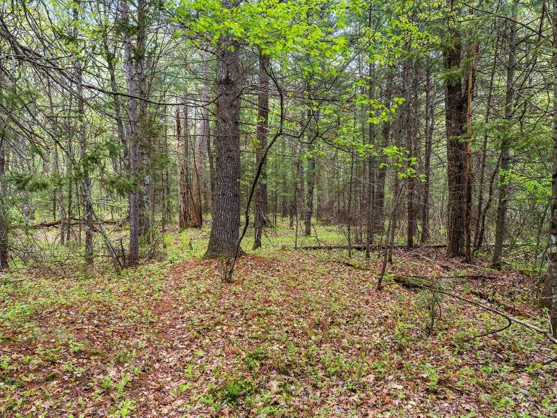 8041 Two Lakes Rd, , Lake Tomahawk,  WI 54539 United States