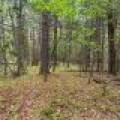 8041 Two Lakes Rd, , Lake Tomahawk,  WI 54539 United States