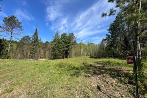 8402 Old Hwy K Rd, , Harshaw,  WI 54529 United States