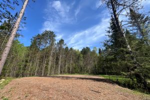 8402 Old Hwy K Rd, , Harshaw,  WI 54529 United States