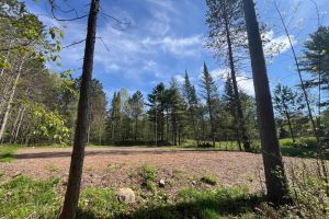 8402 Old Hwy K Rd, , Harshaw,  WI 54529 United States