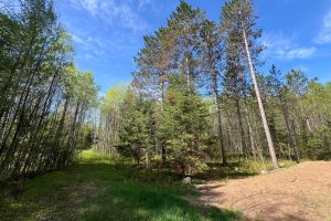 8402 Old Hwy K Rd, , Harshaw,  WI 54529 United States