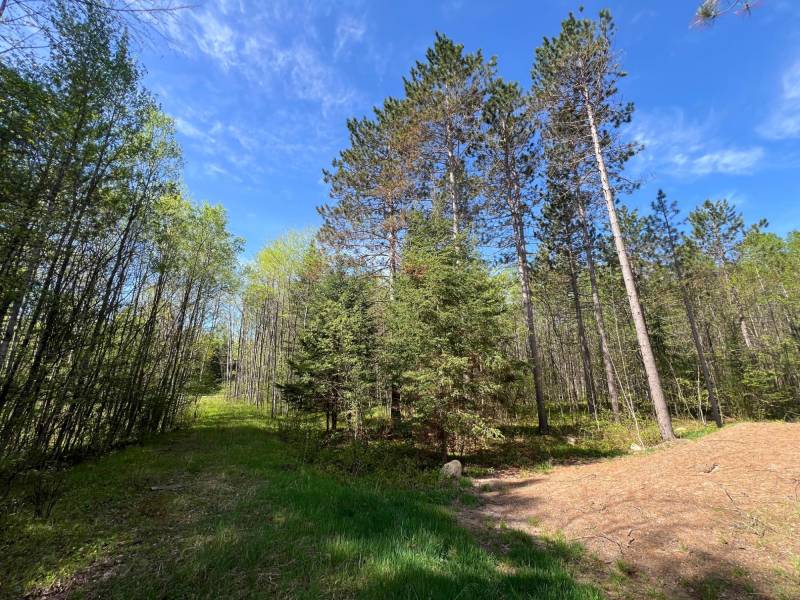 8402 Old Hwy K Rd, , Harshaw,  WI 54529 United States