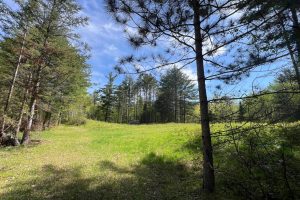 8402 Old Hwy K Rd, , Harshaw,  WI 54529 United States