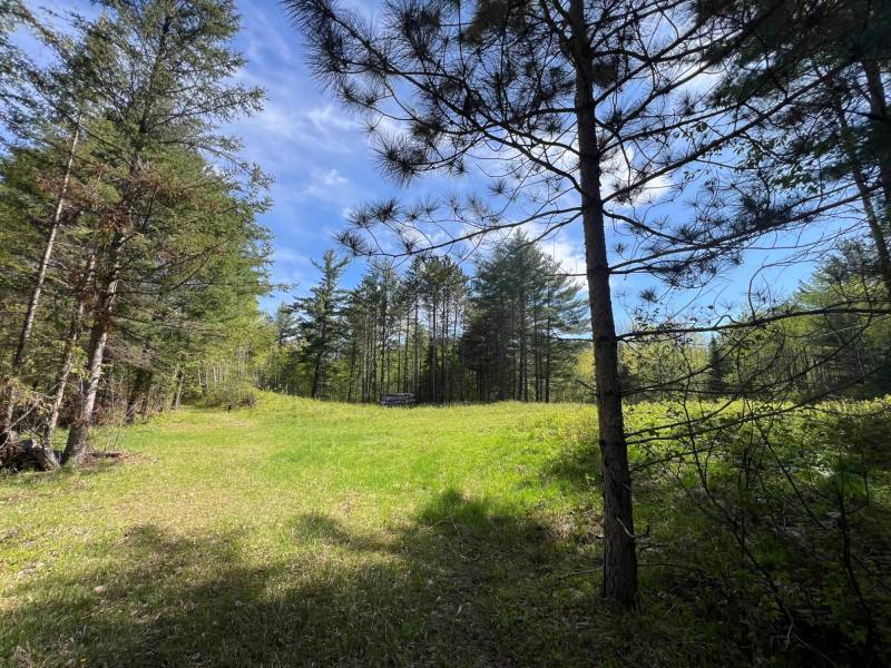 8402 Old Hwy K Rd, , Harshaw,  WI 54529 United States