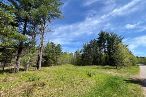 8402 Old Hwy K Rd, , Harshaw,  WI 54529 United States