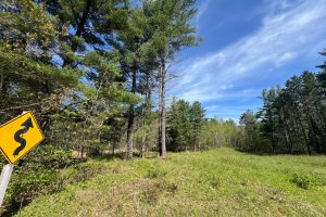 8402 Old Hwy K Rd, , Harshaw,  WI 54529 United States