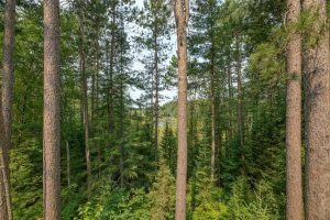 9507 Natural Springs Rd, , Presque Isle,  WI 54557 United States