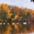 N6473 Hwy 107, , Rock Falls,  WI 54442 United States