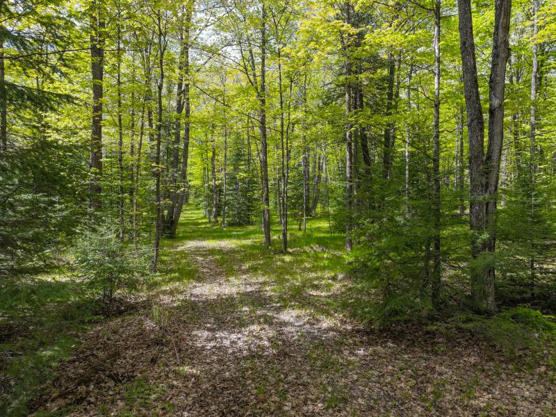 Off E Anvil Lake Rd, , Eagle River,  WI 54521 United States