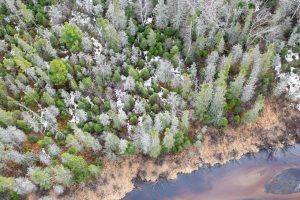 Off Hwy 45, , Land O Lakes,  WI 54540 United States