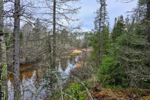 Off Hwy 45, , Land O Lakes,  WI 54540 United States