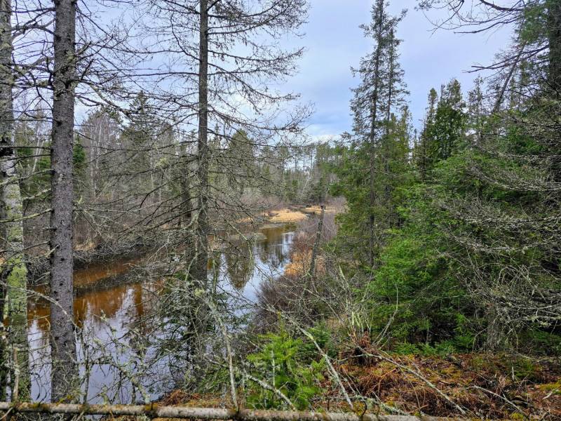Off Hwy 45, , Land O Lakes,  WI 54540 United States
