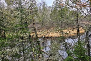Off Hwy 45, , Land O Lakes,  WI 54540 United States
