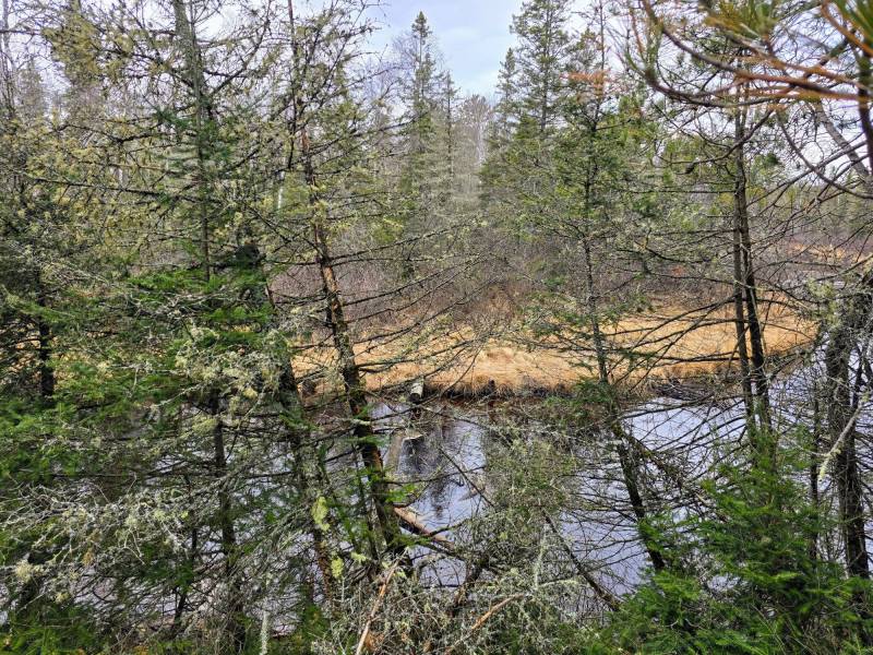 Off Hwy 45, , Land O Lakes,  WI 54540 United States
