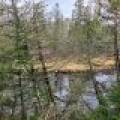 Off Hwy 45, , Land O Lakes,  WI 54540 United States