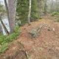 Off Hwy 45, , Land O Lakes,  WI 54540 United States