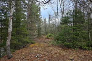 Off Hwy 45, , Land O Lakes,  WI 54540 United States